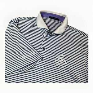 Greyson Polo Shirt Mens Large Purple Green Striped Golf Stretch Performance‎